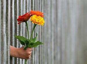 A hand holding a bunch of flowers from the wall